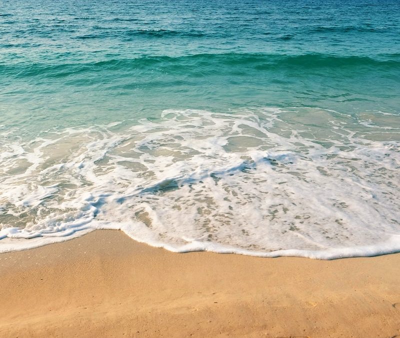 seashore under clear blue sky during daytime