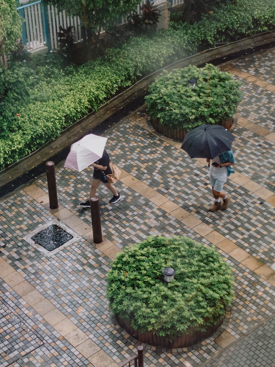 people with umbrellas on a sidewalk